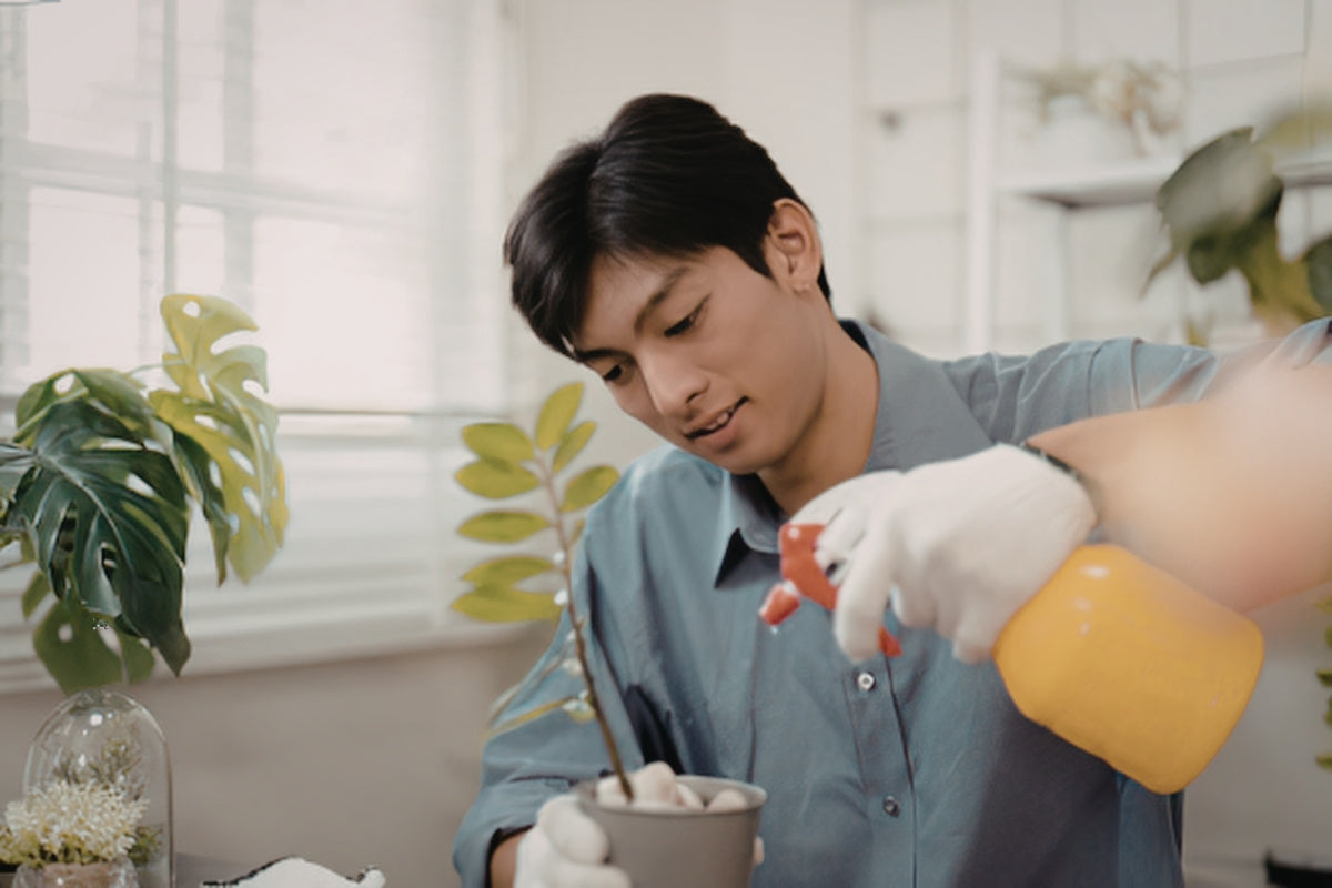Simple Tricks to Prevent Rare Indoor Plants From Dying