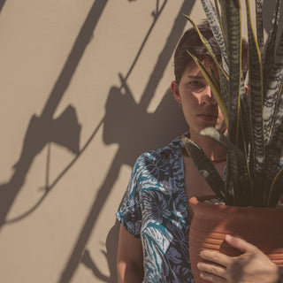 Does Summer Humidity Help Or Hurt Snake Plants? The Truth Revealed