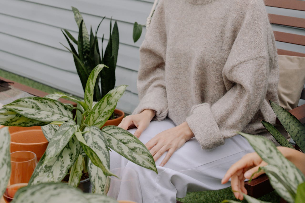 Green Medicine: How Snake Plants Can Improve Your Health Naturally