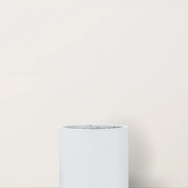 Quinn | White