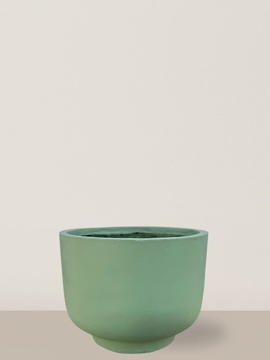 Cassandra | Leaf Green