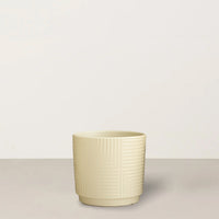 Ella | Small