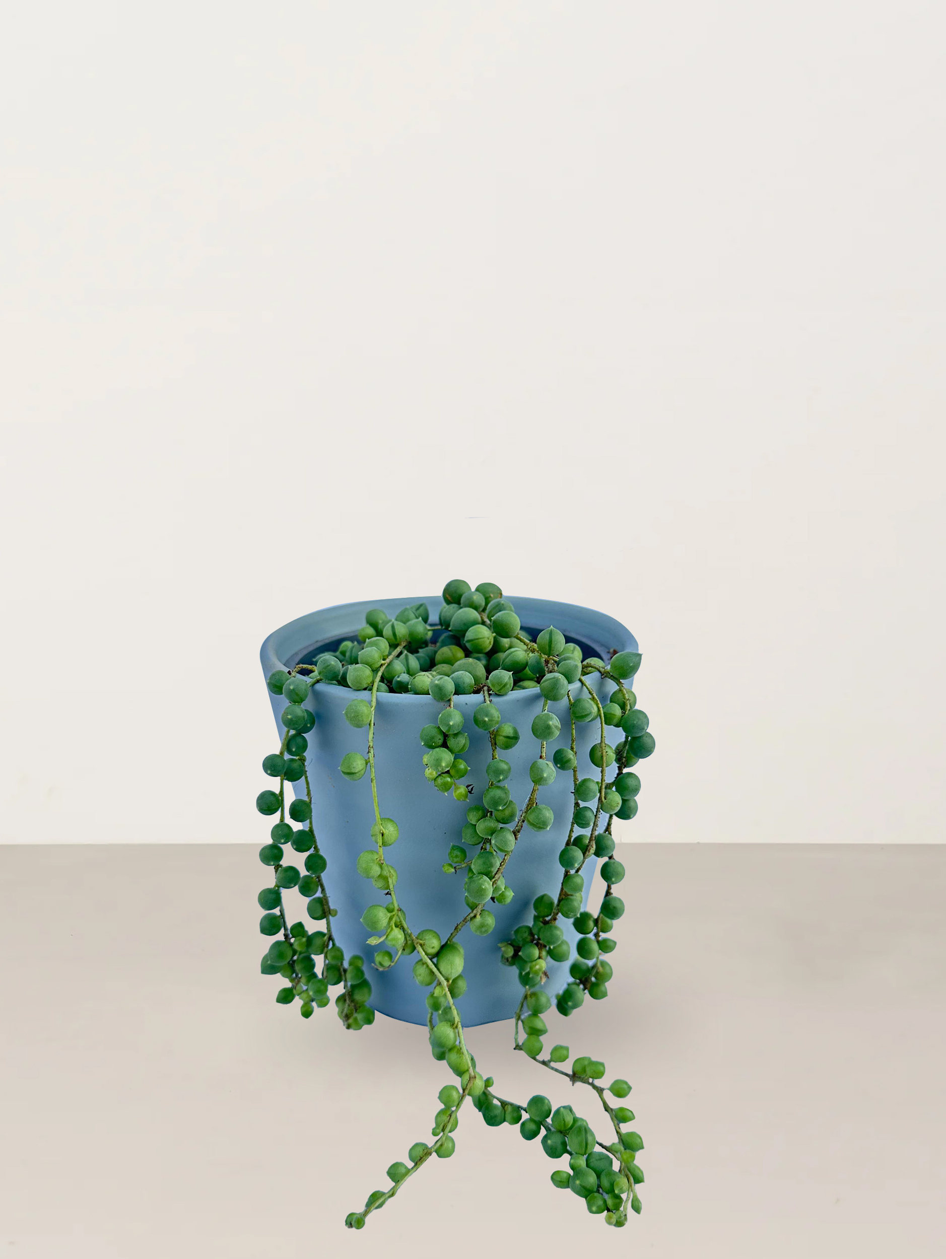 String of Pearls
