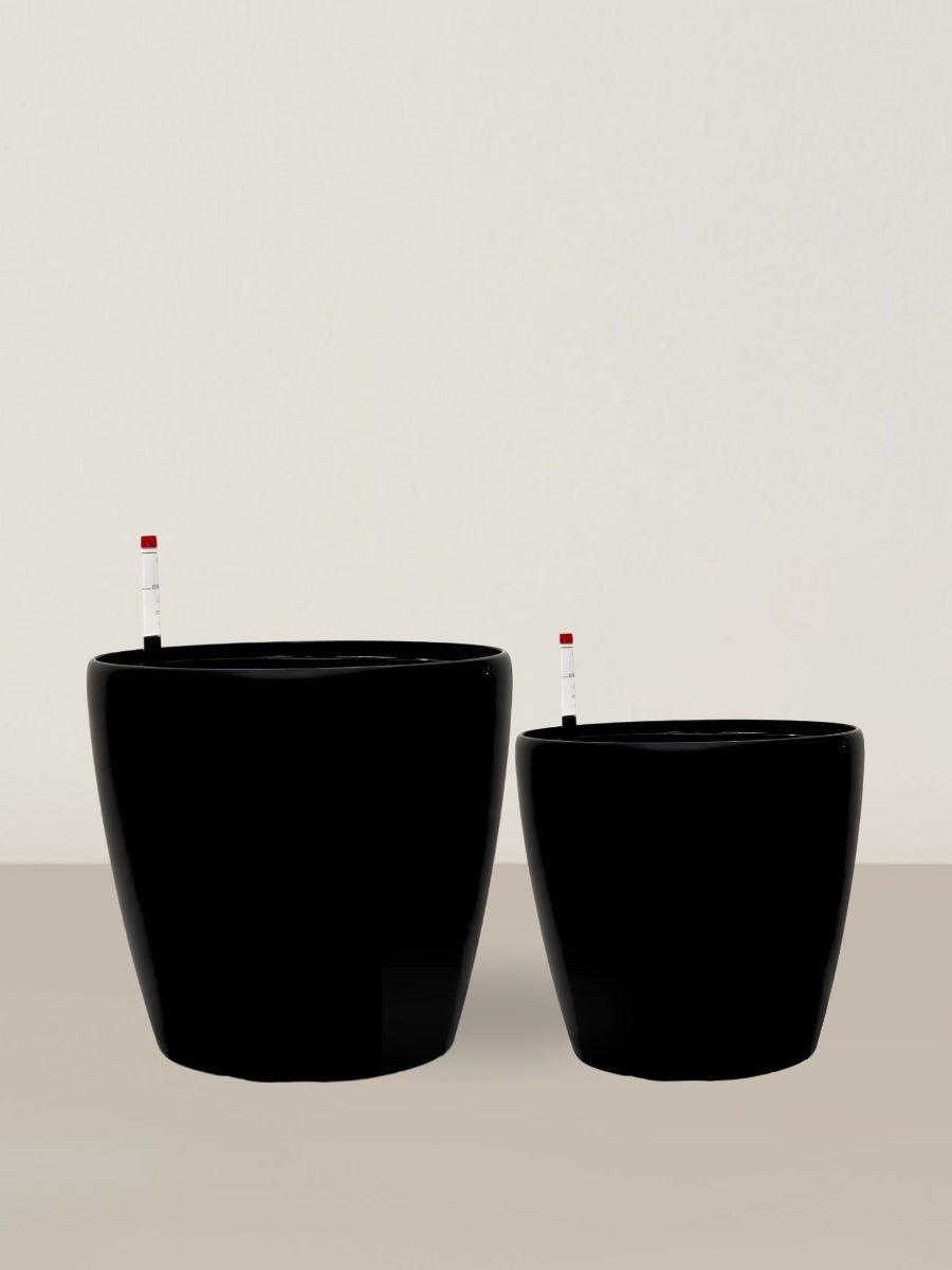 Ava | Self-watering pot