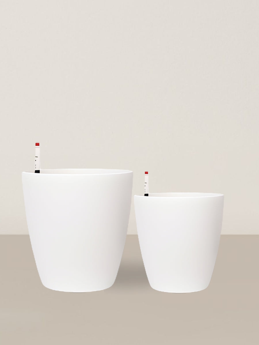 Ava | Self-watering pot