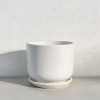 Briana (Gloss) | Medium