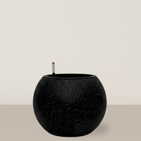 Self-watering Daisy | Black