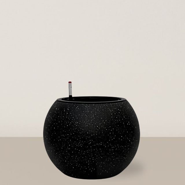 Self-watering Daisy | Black