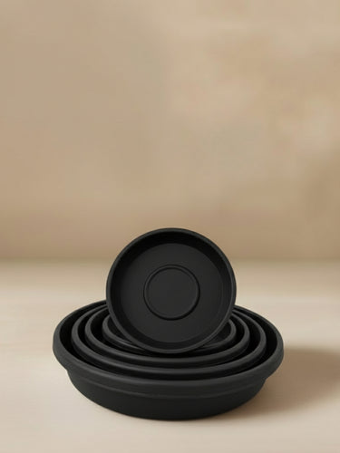 Drain Tray