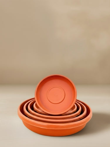 Drain Tray