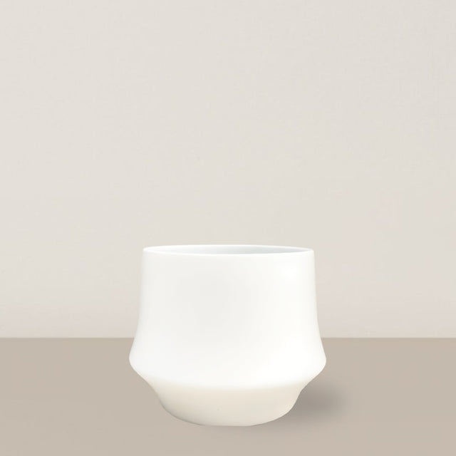 Elaena | White
