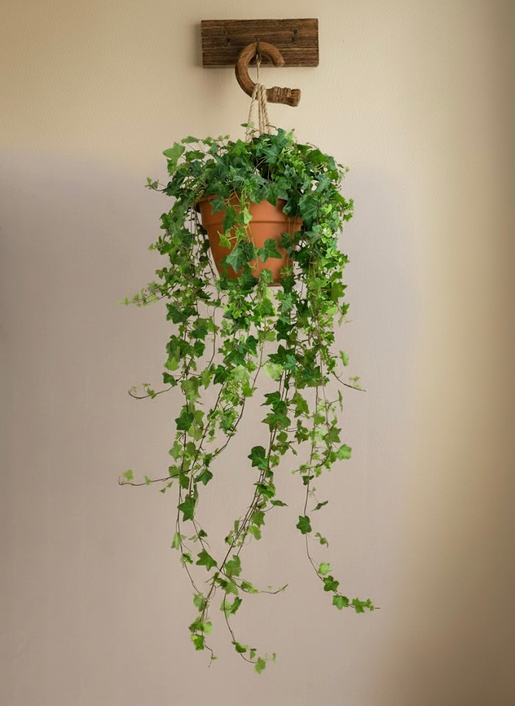 growing lights for indoor plants Sun Patch | Grow light for indoor plants and seedlings