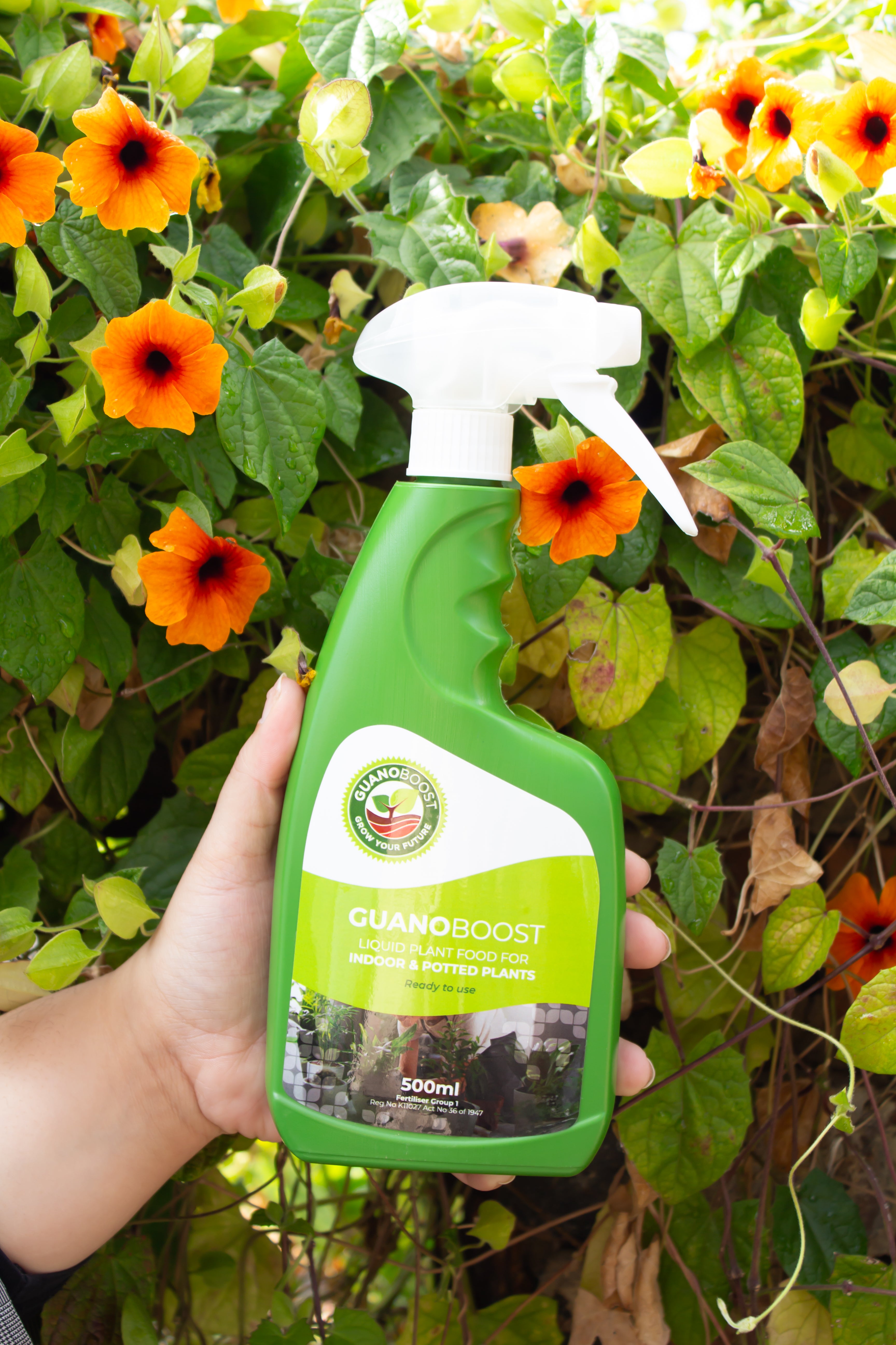 Guanoboost Organic Liquid Fertilizer Spray | 500ml