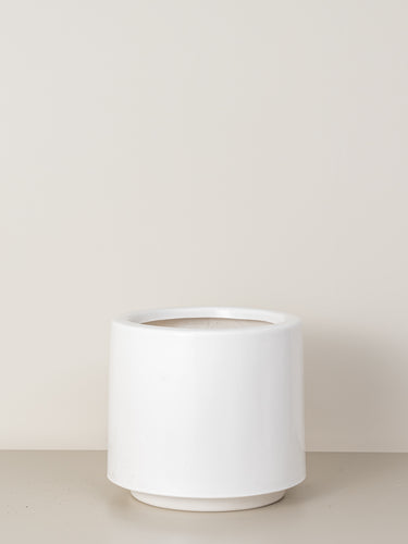 Lily | White