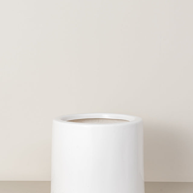 Lily | White