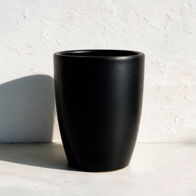 Iro | X-Large