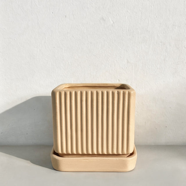 Junia | Extra Small
