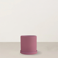 Kate | Blush