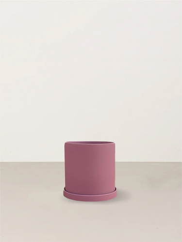 Kate | Blush
