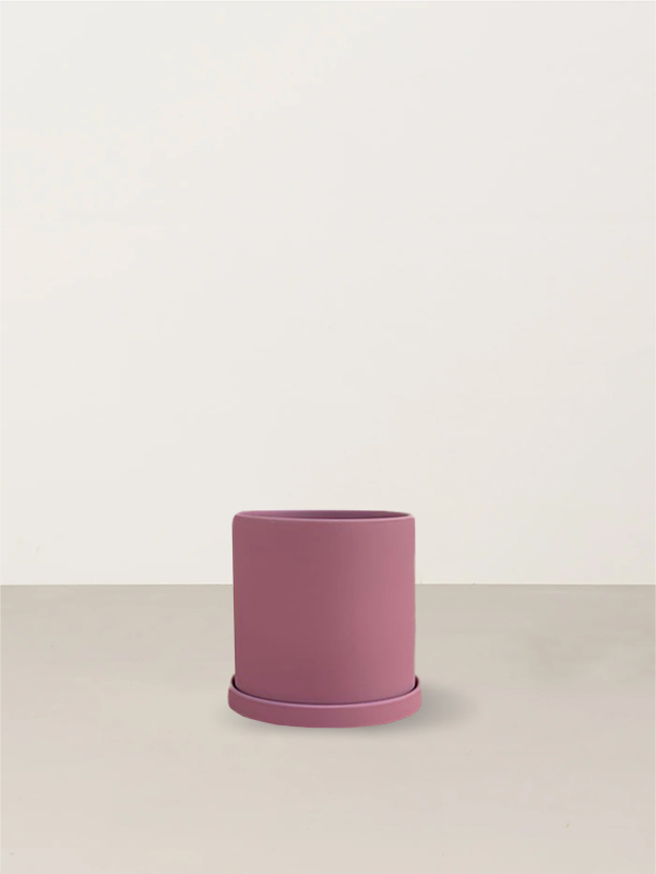 Kate | Blush