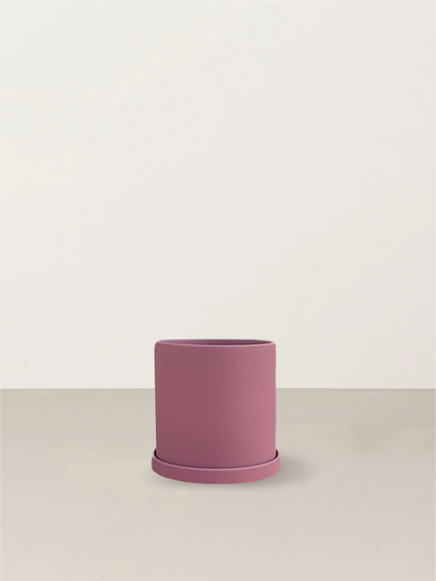 Kate | Blush