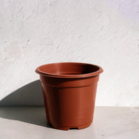 Nursery Pot