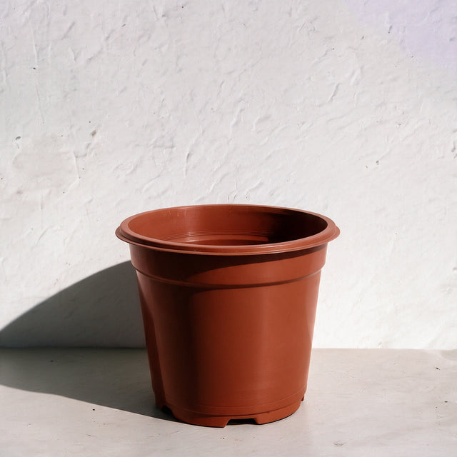 Nursery Pot