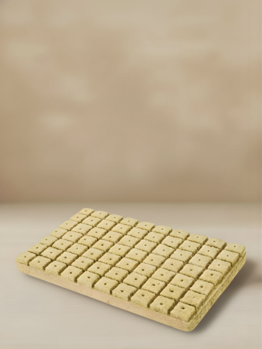 Rockwool | Germination Tray