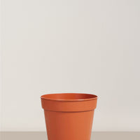 Nursery Pot