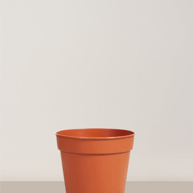 Nursery Pot