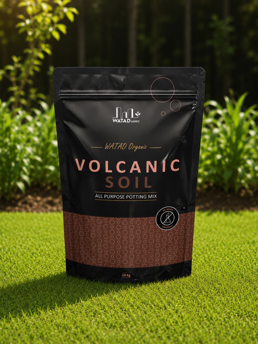 Watad Organic Volcanic Soil
