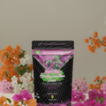 Bougainvillea feed 250gm packet with flowers