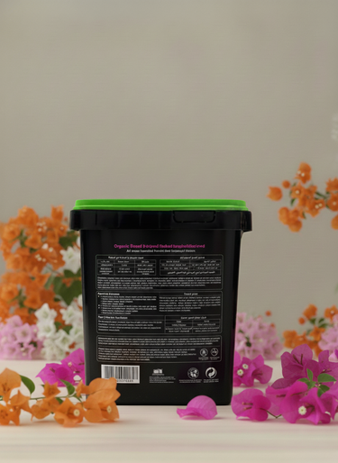 Bougainvillea feed box back view with flowers