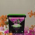 Bougainvillea feed box with scattered flowers