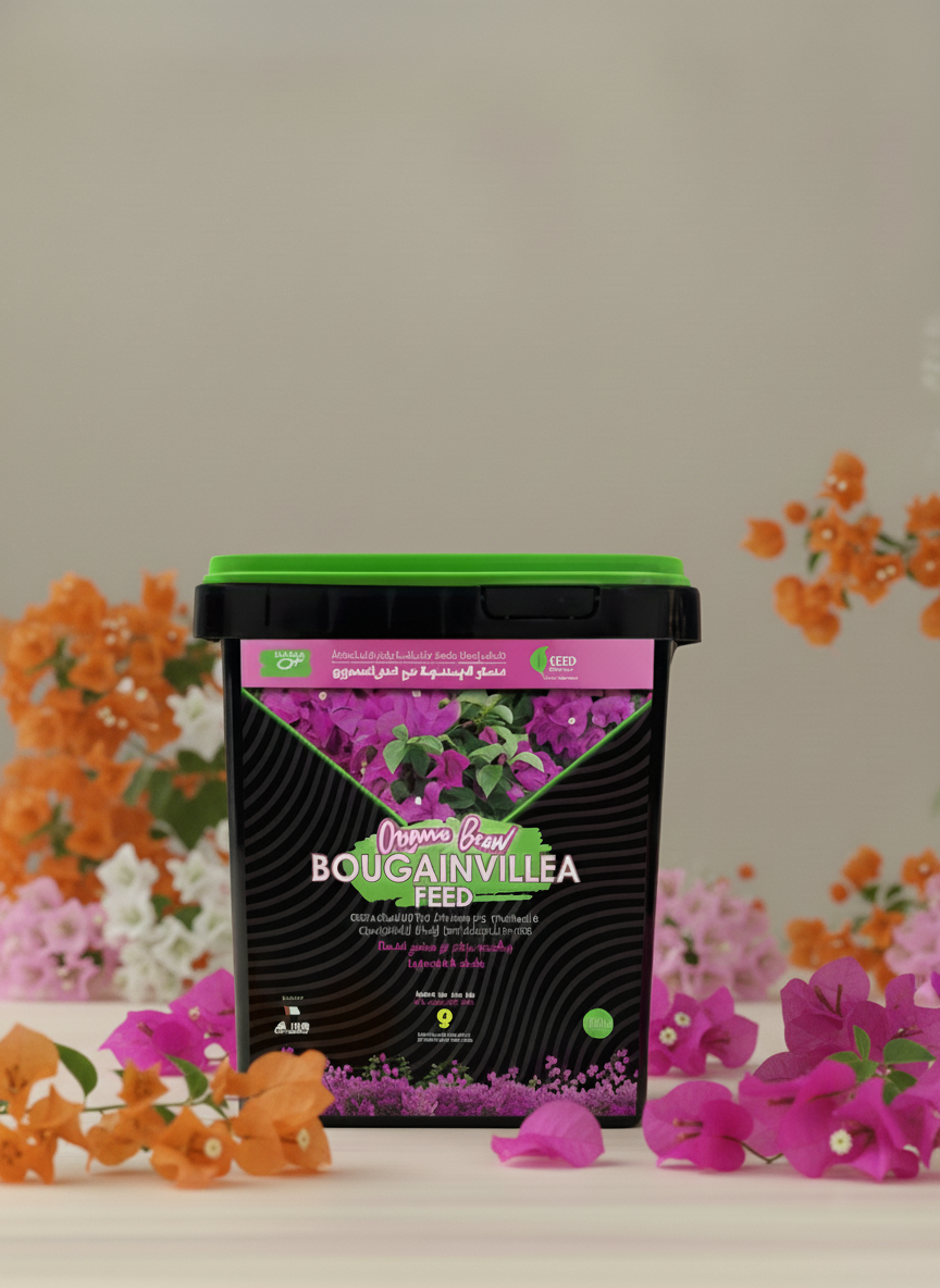 Bougainvillea feed box with scattered flowers
