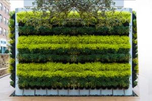 Vertical Green Walls – growhub