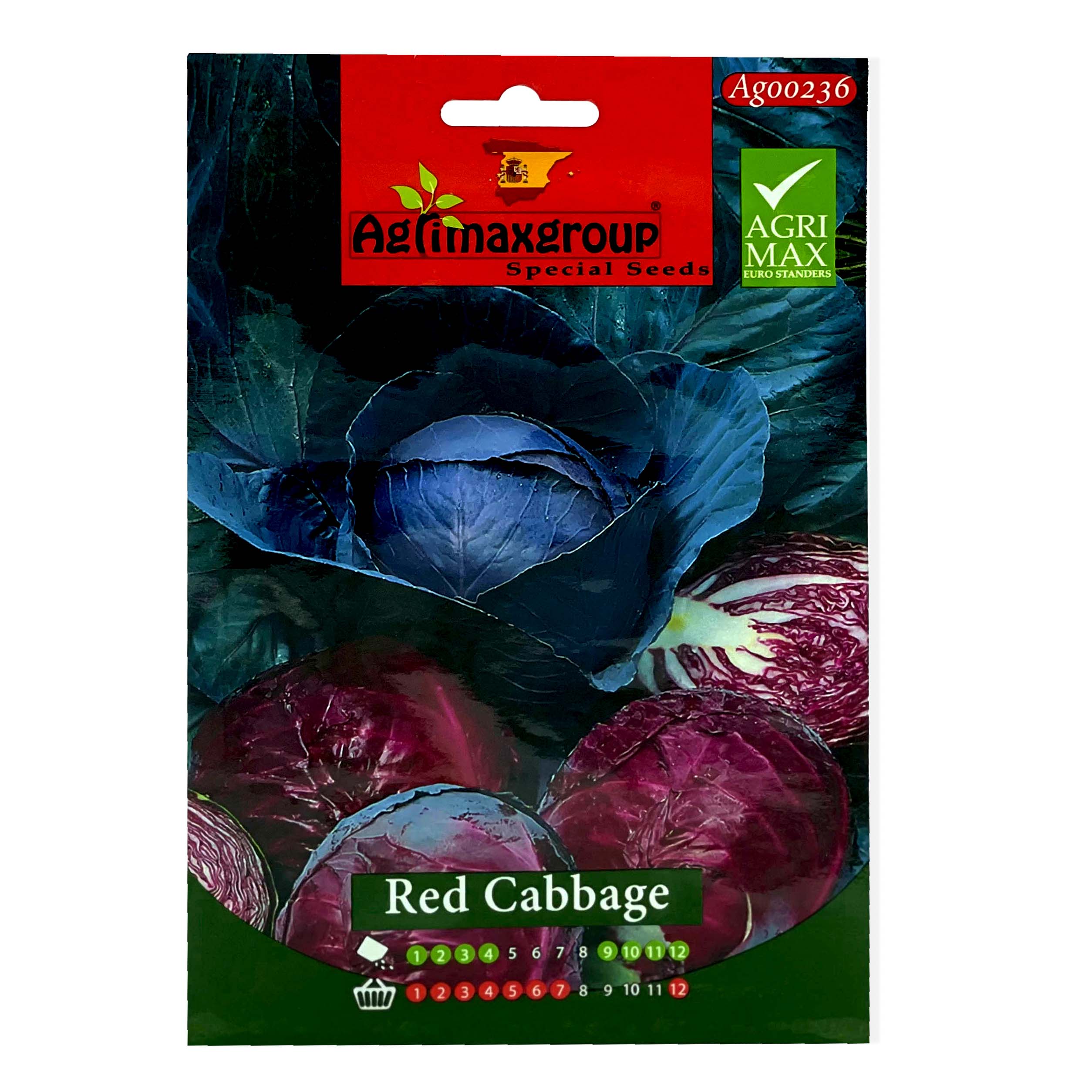 Red Cabbage Seeds, Cabbage Seeds