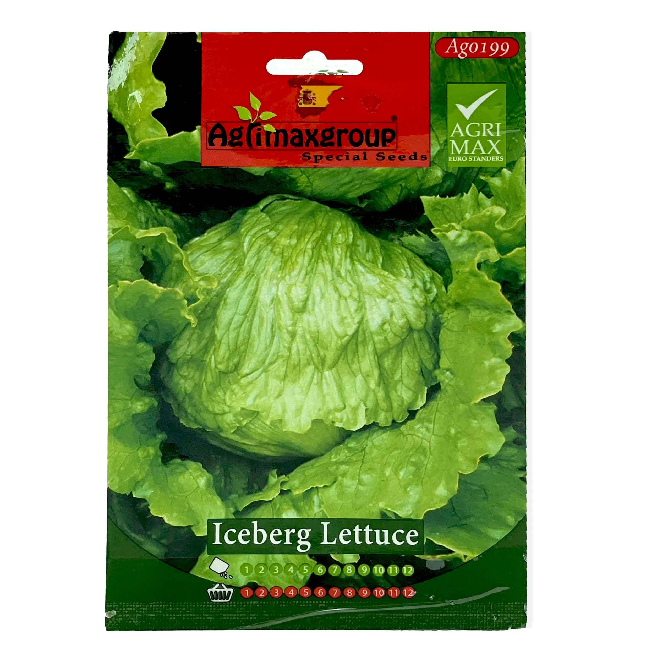 Lettuce Seeds, Iceberg Lettuce Seeds, Romaine Lettuce Seeds, Lollo Lettuce Seeds