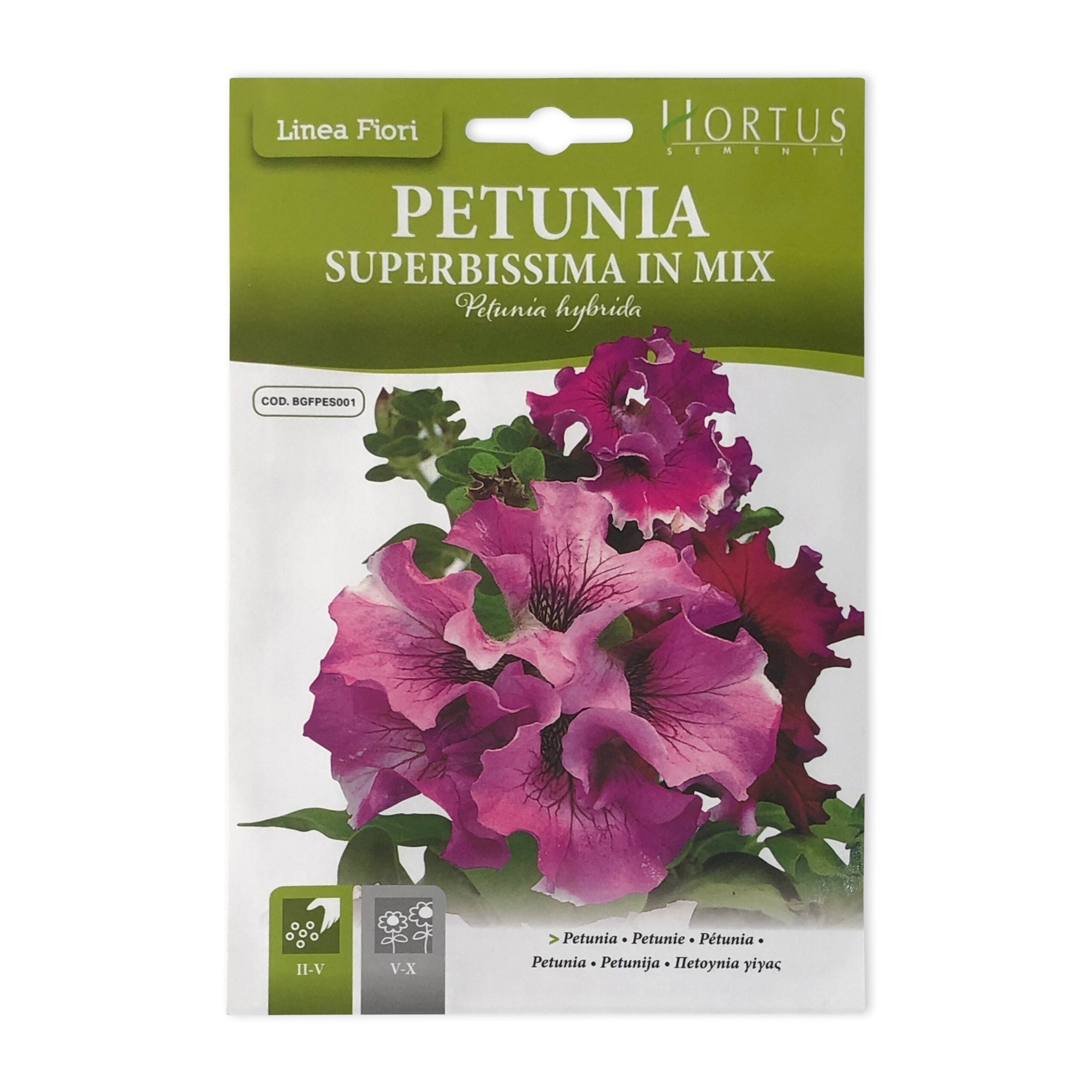Petunia | Seeds