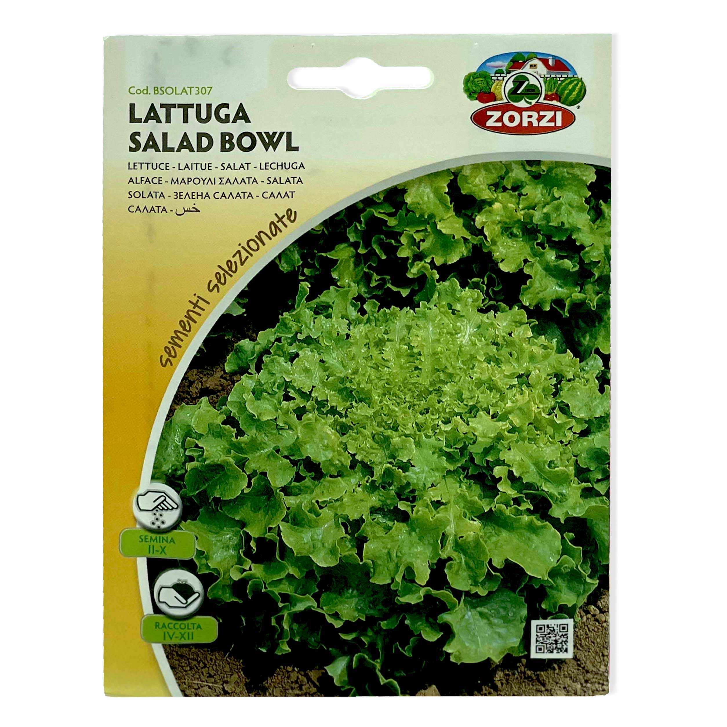 Salad Bowl Lettuce | Seeds
