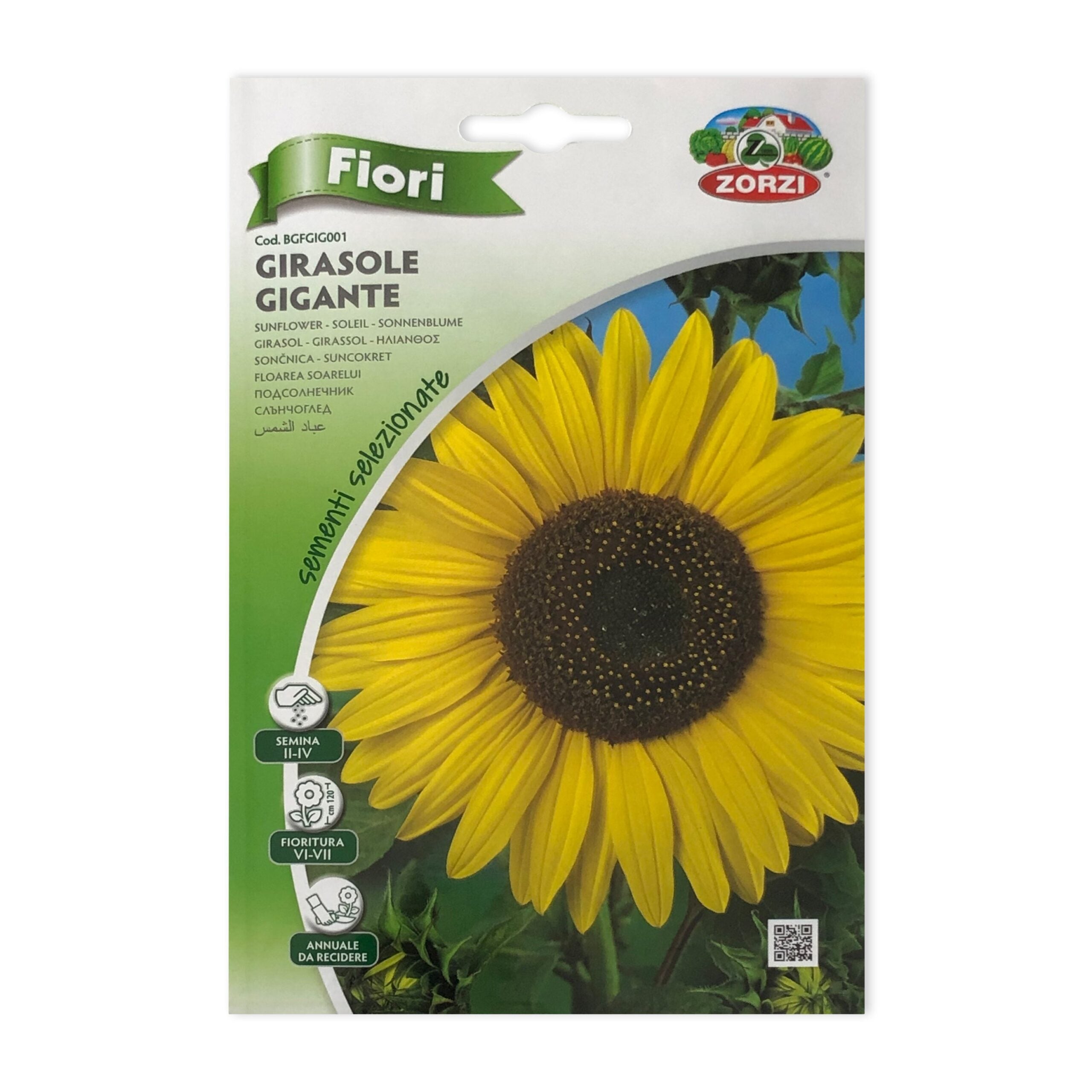 Giant Sunflower | Seeds