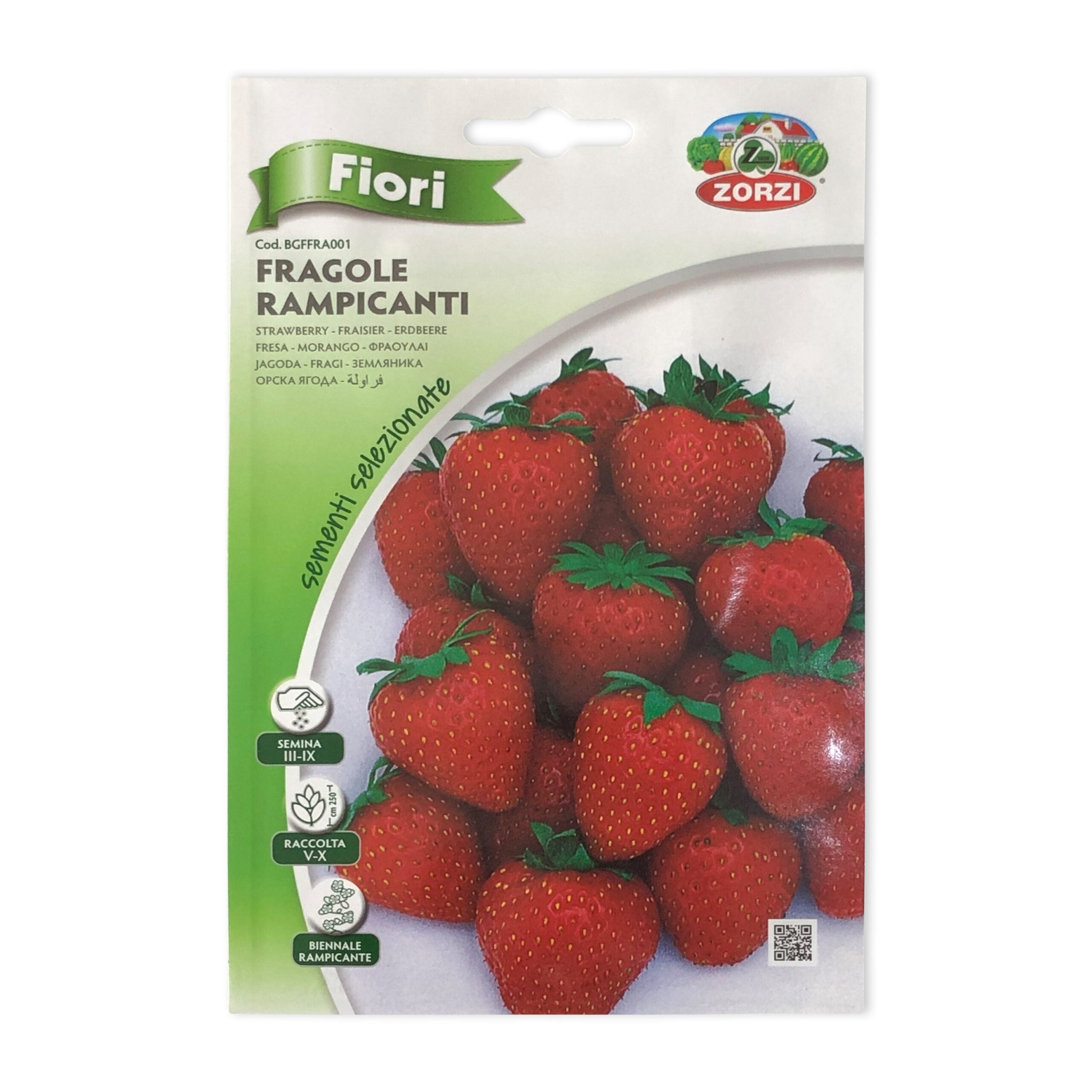 Strawberry | Seeds