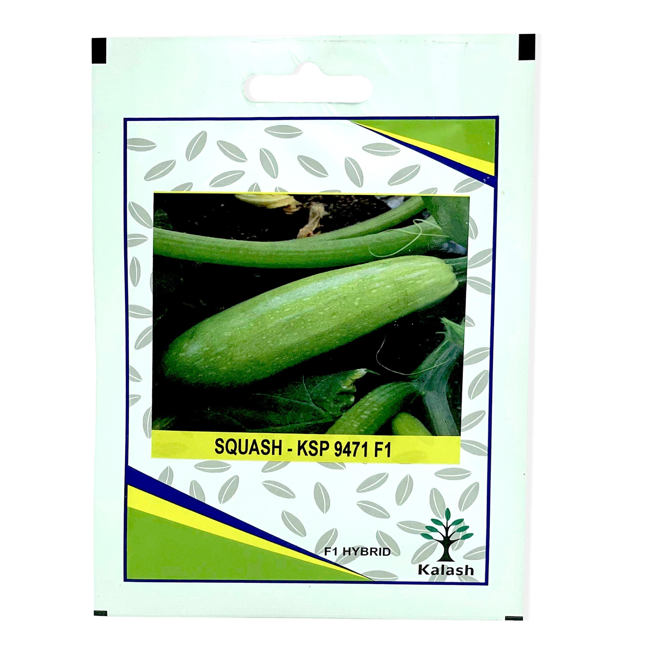 Squash Vegetable Seeds