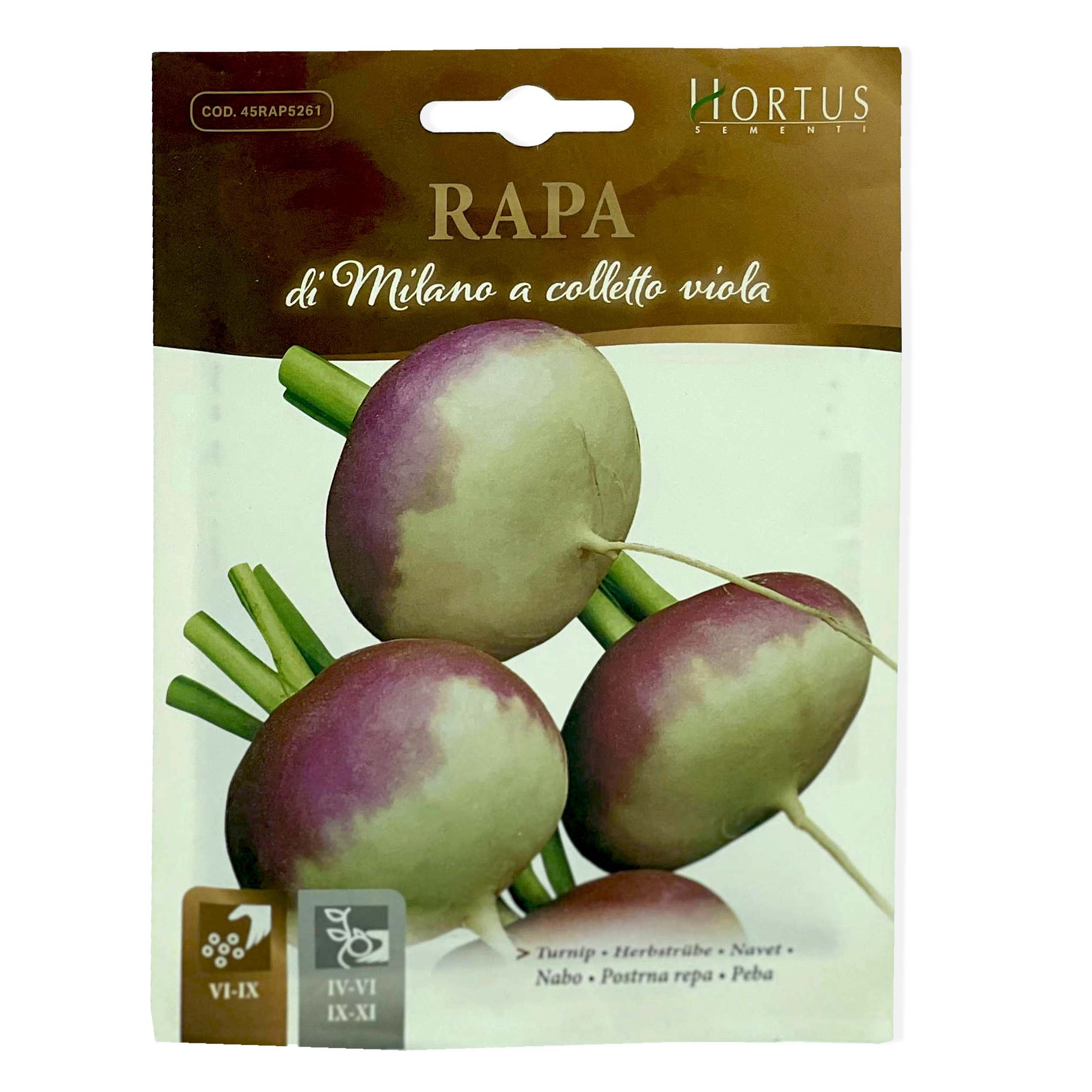 Turnip - Rapa Vegetable Seeds