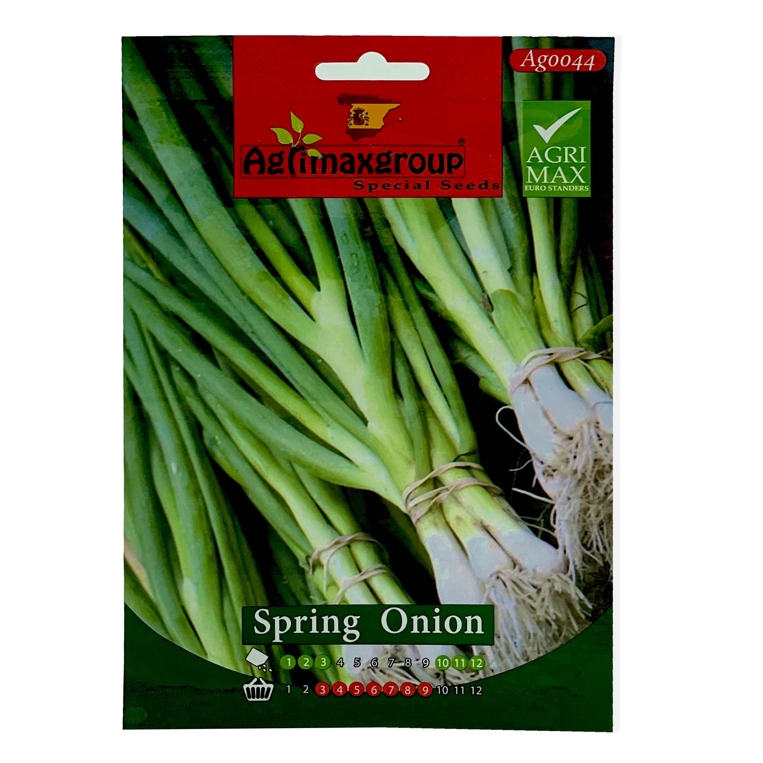 Scallion Seeds, Green Onion Seeds, Spring Onion Seeds