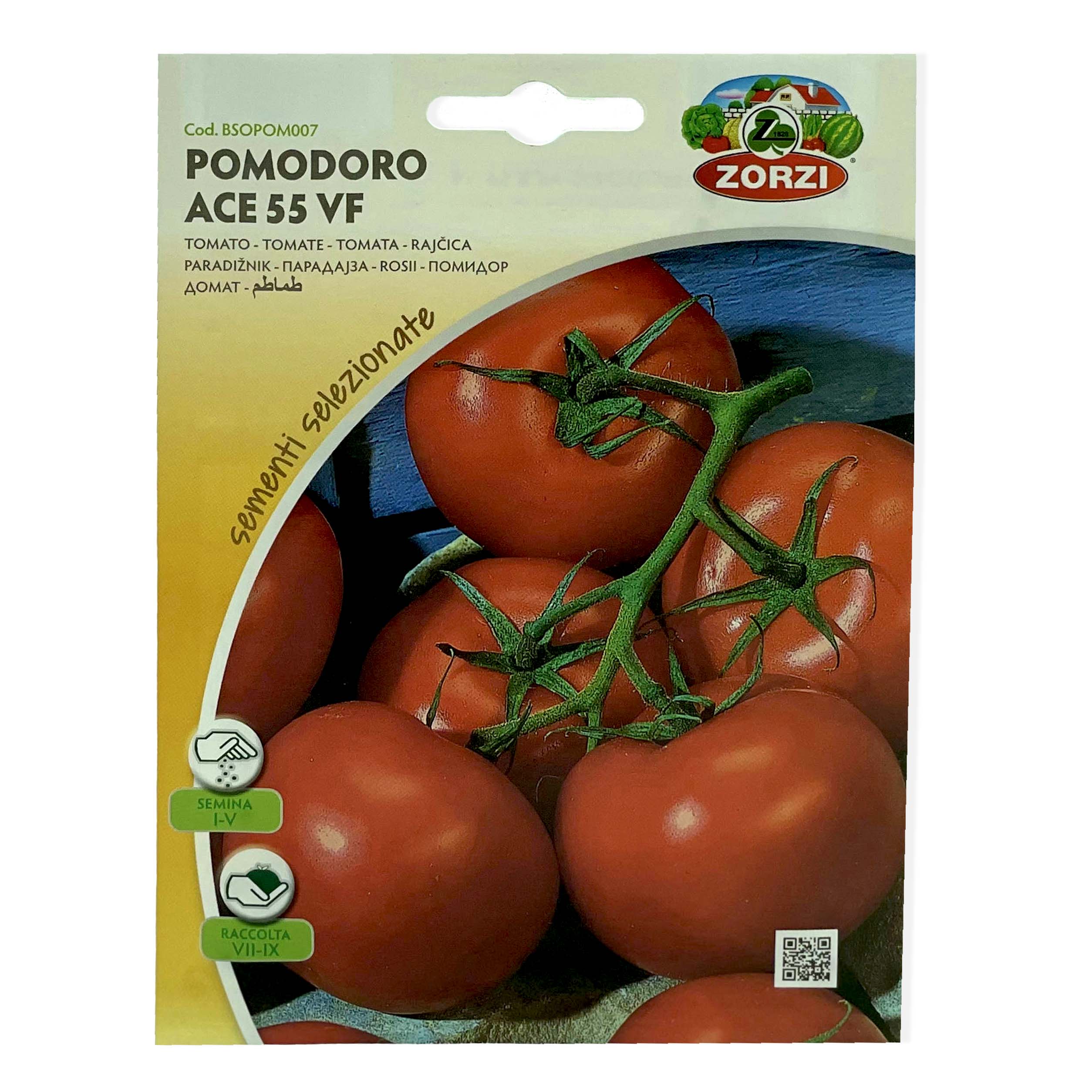 Tomato Seeds, ACE 55 Tomato Seed