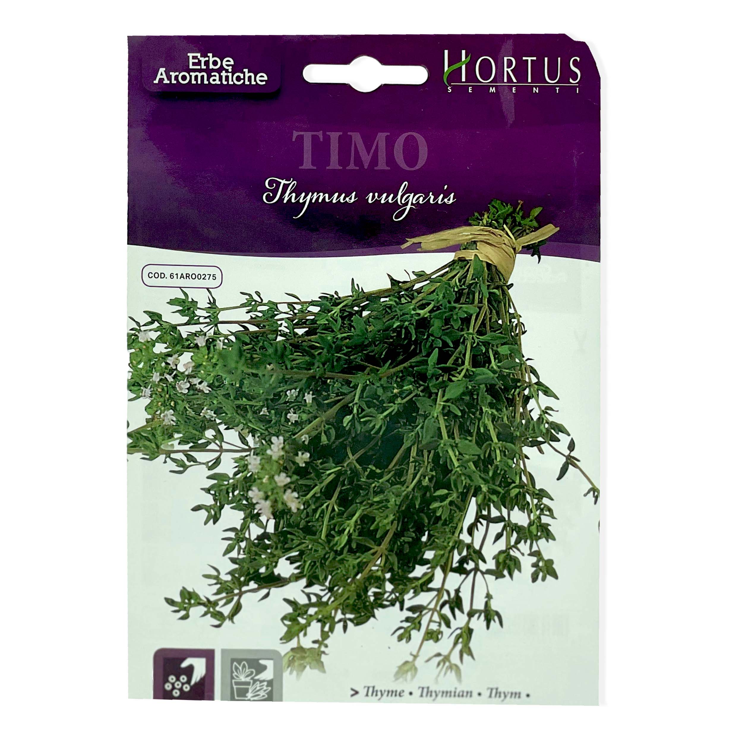 Thyme Seeds, Herbs