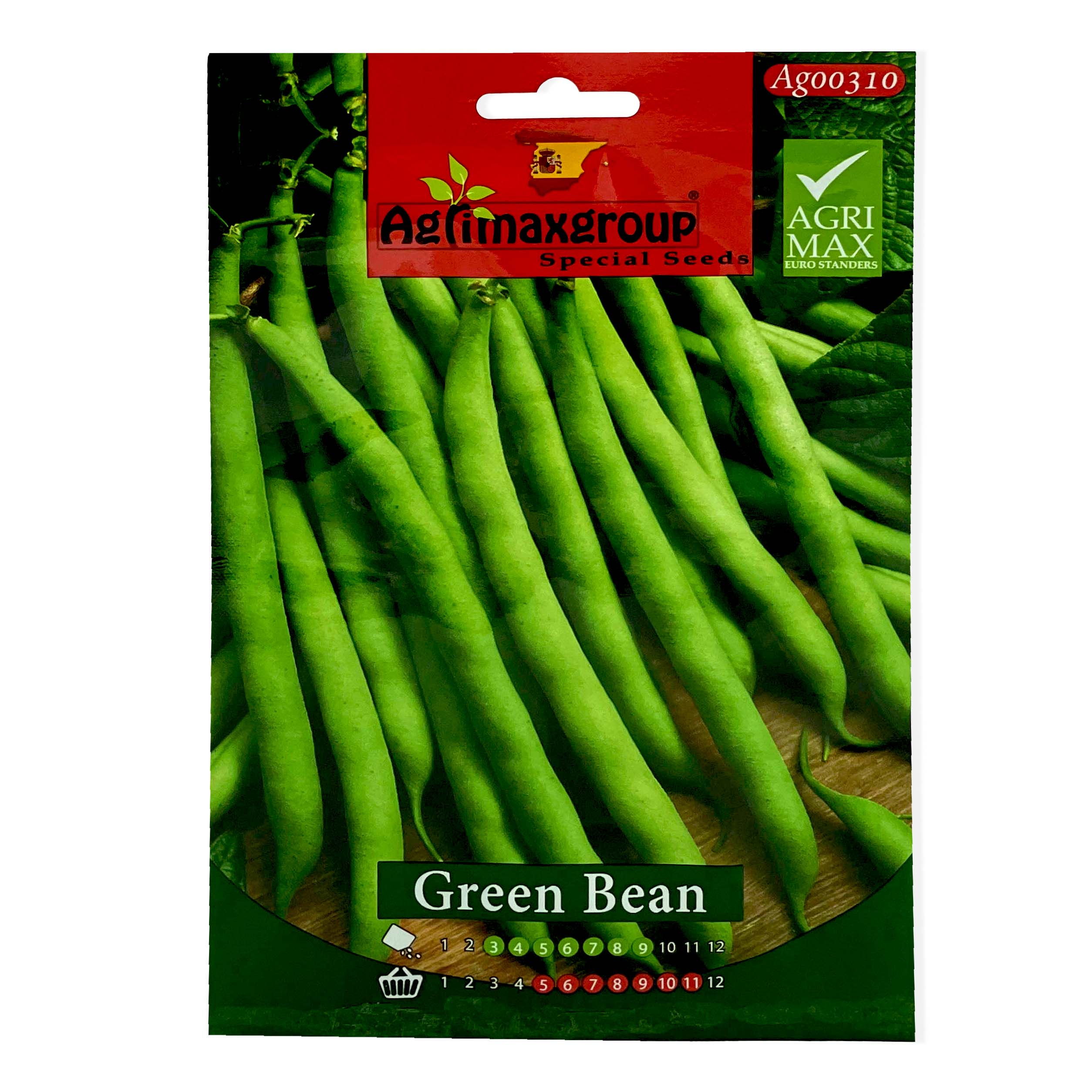 Green Bean Seeds