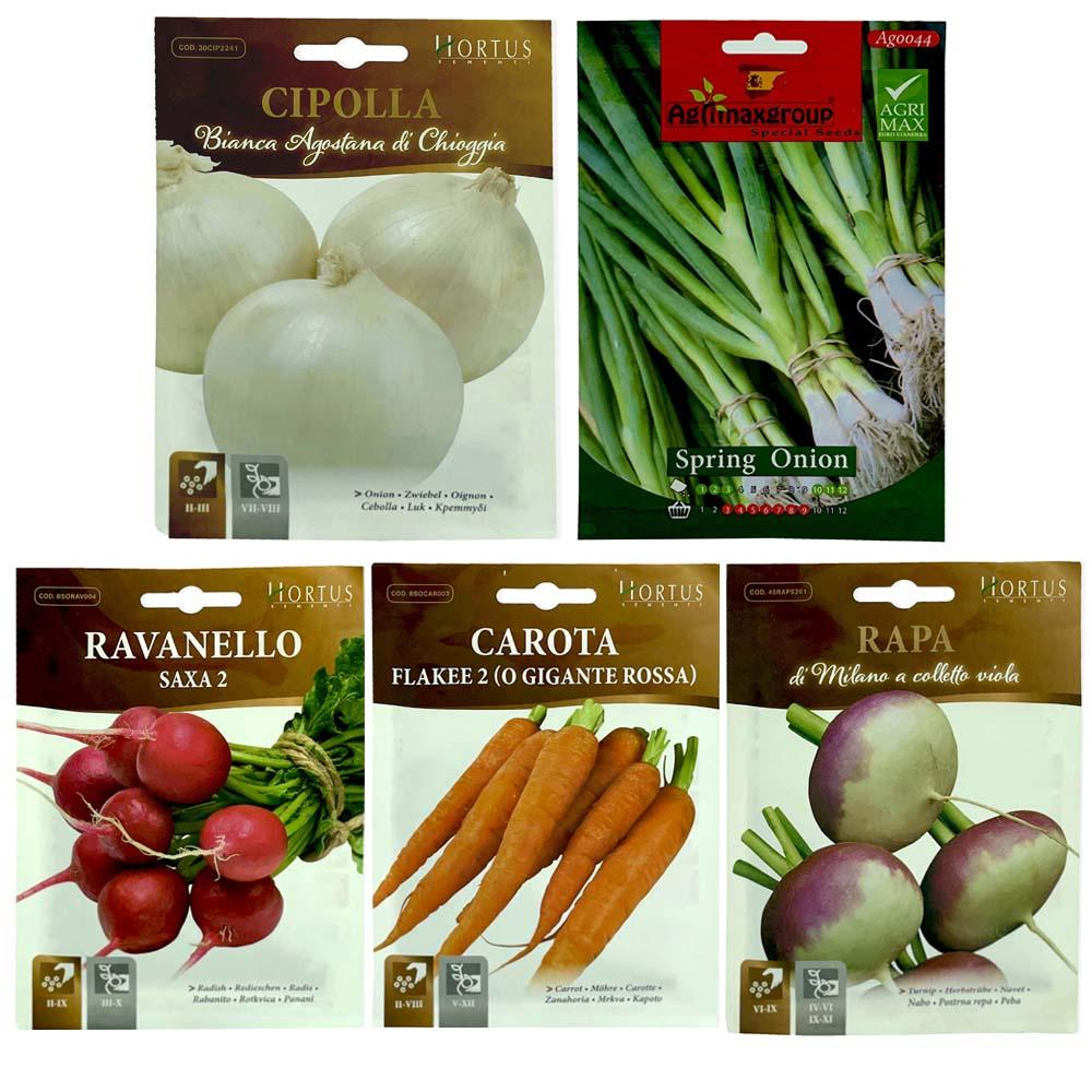 Radish Seeds, Sping Onion Seeds, White Onion Seeds, Carrot Seeds, Beetroot Seeds