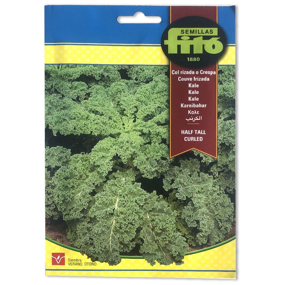 Kale | Seeds